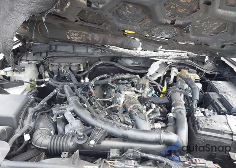 2024 Ford Bronco Black Diamond из США, поврежденный, VIN 1FMEE1BP2RLA24850